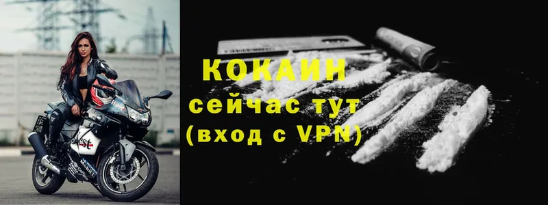 COCAIN VHQ  Камышлов 